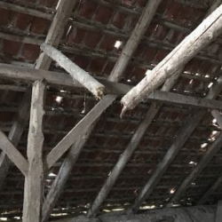 Bekæmpelse af borebiller