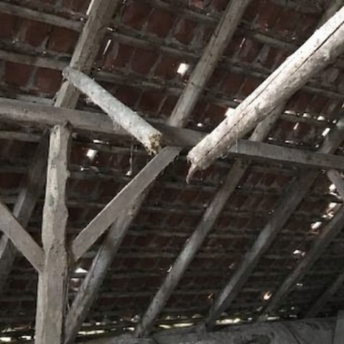 Bekæmpelse af borebiller