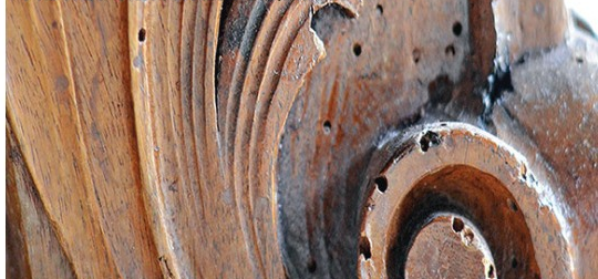 Bekæmpelse af borebiller